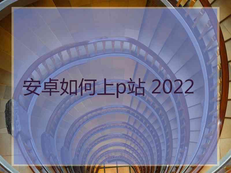 安卓如何上p站 2022