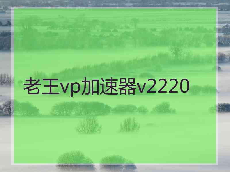 老王vp加速器v2220
