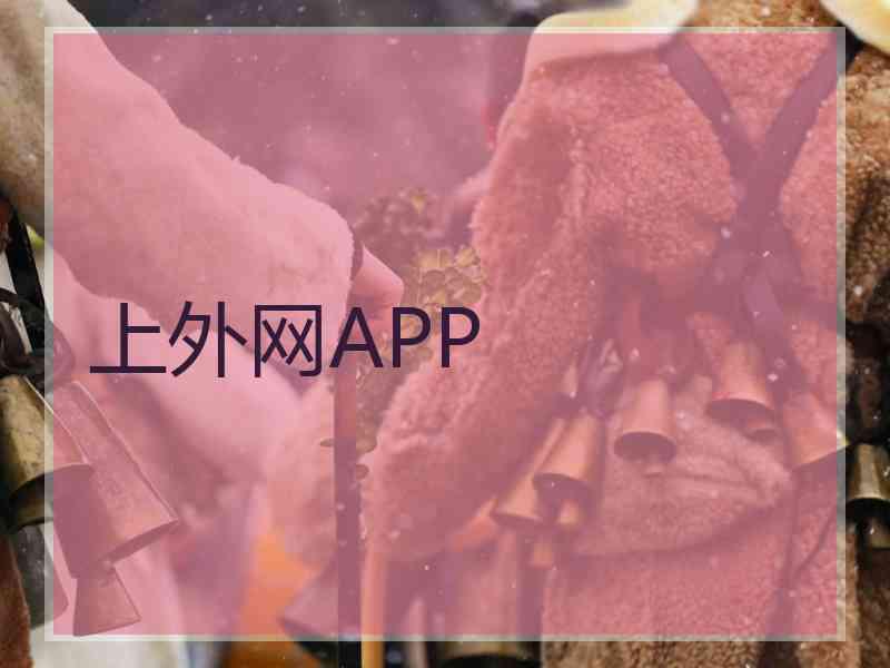 上外网APP