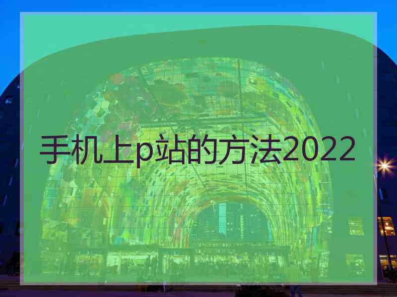 手机上p站的方法2022