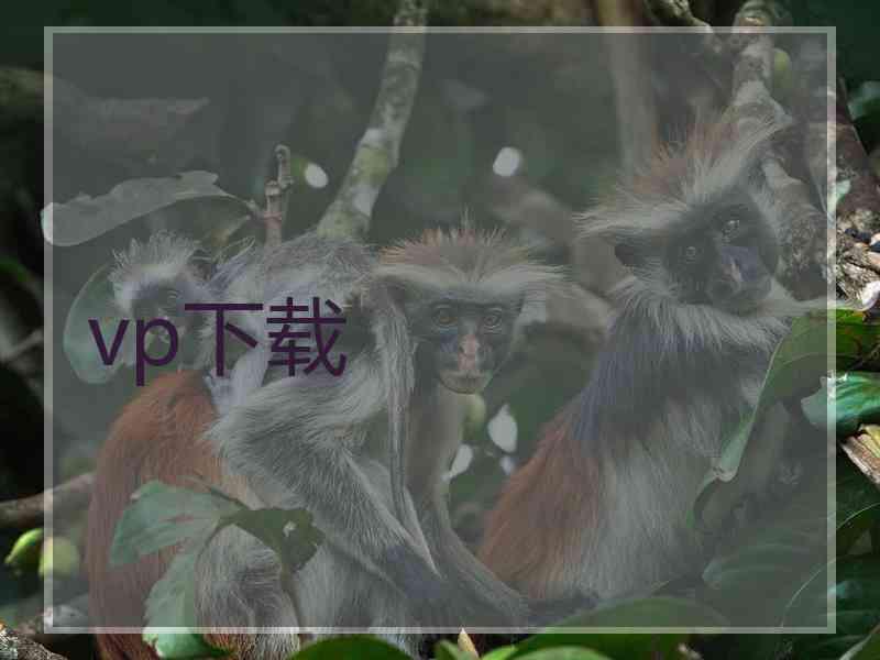 vp下载