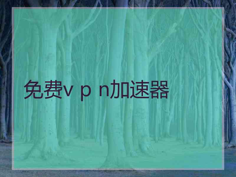 免费v p n加速器