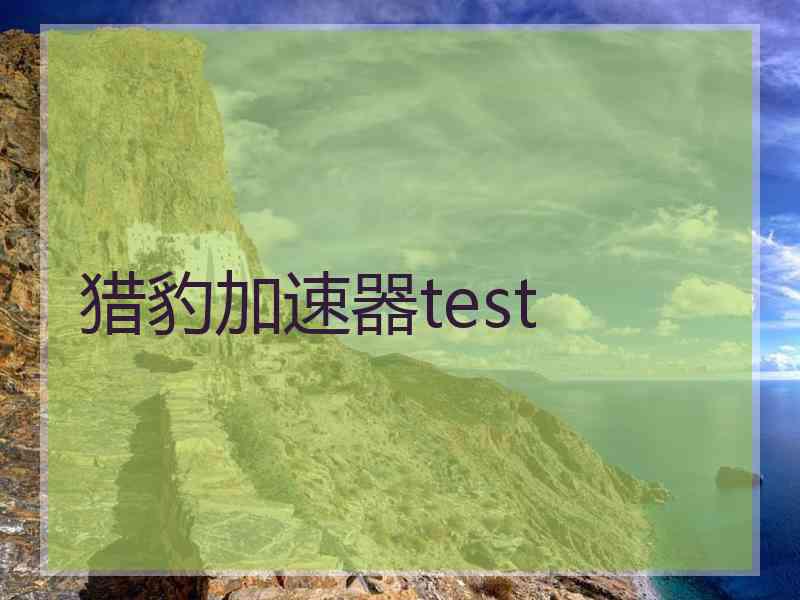 猎豹加速器test