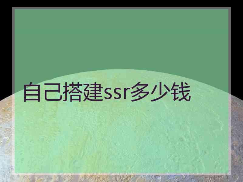 自己搭建ssr多少钱