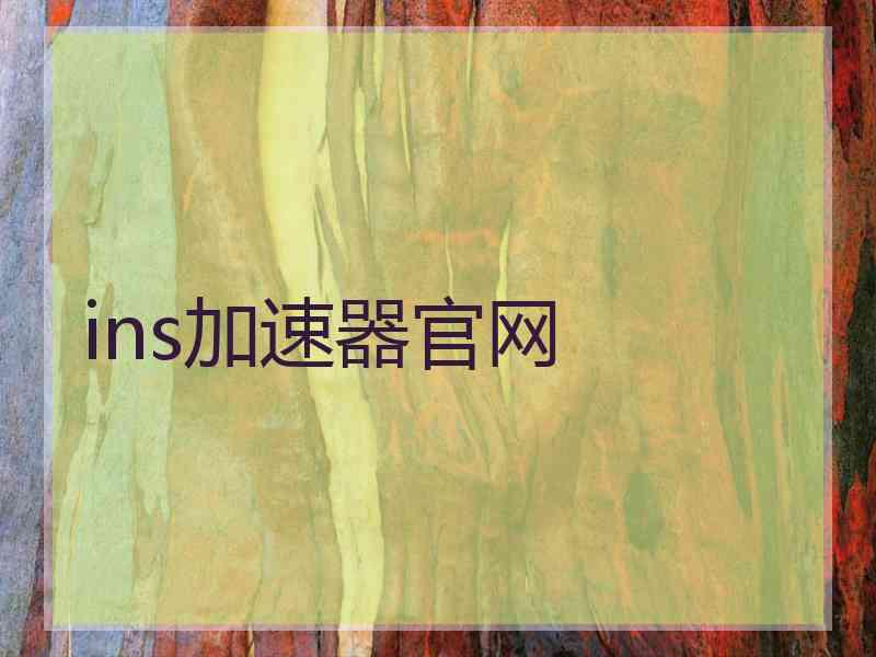 ins加速器官网