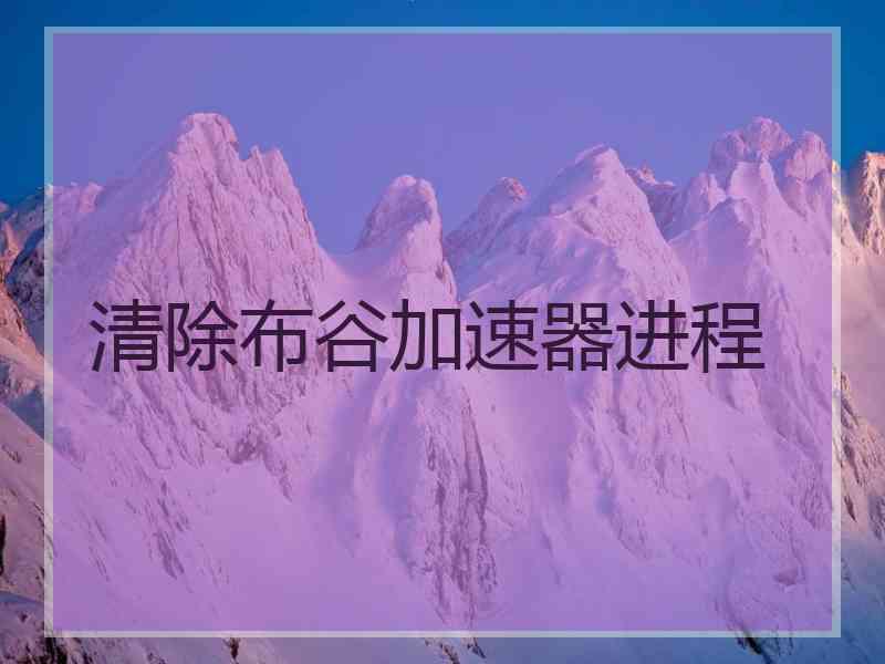 清除布谷加速器进程