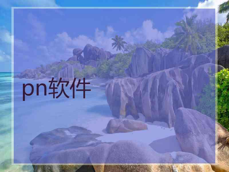 pn软件