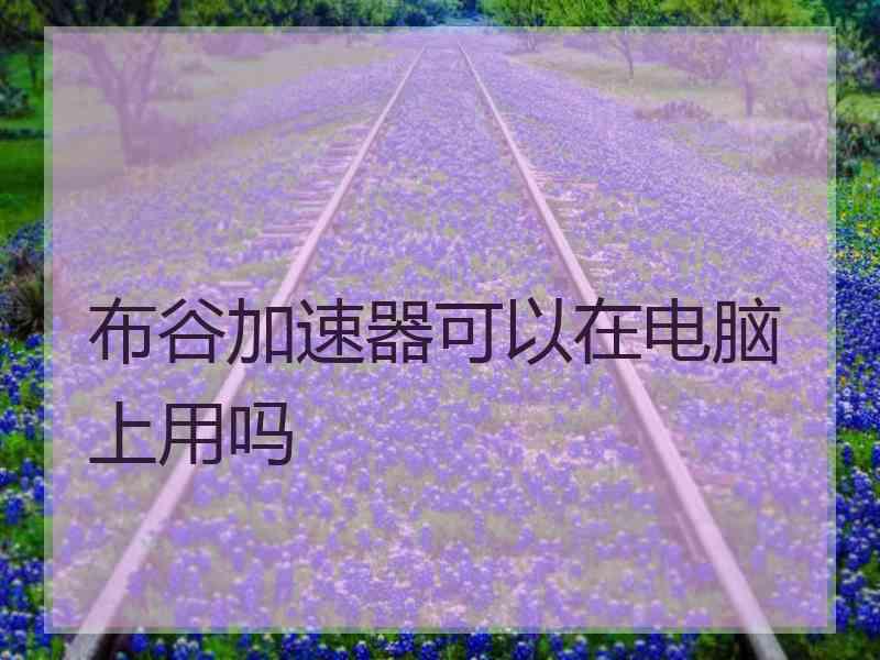 布谷加速器可以在电脑上用吗