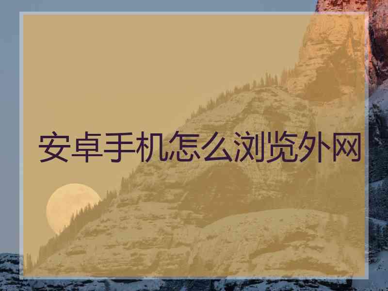 安卓手机怎么浏览外网