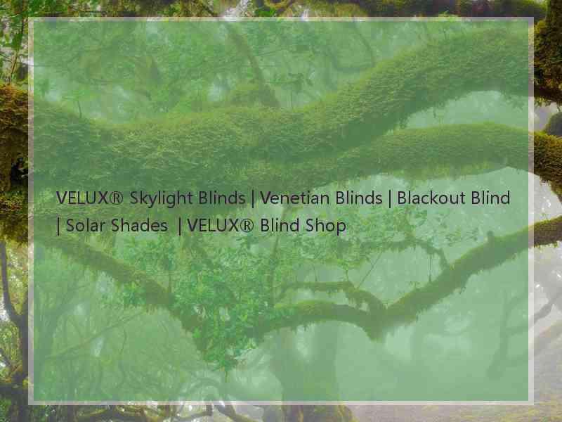 VELUX® Skylight Blinds | Venetian Blinds | Blackout Blind | Solar Shades  | VELUX® Blind Shop