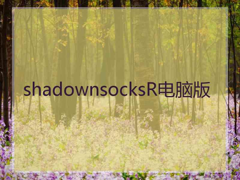 shadownsocksR电脑版