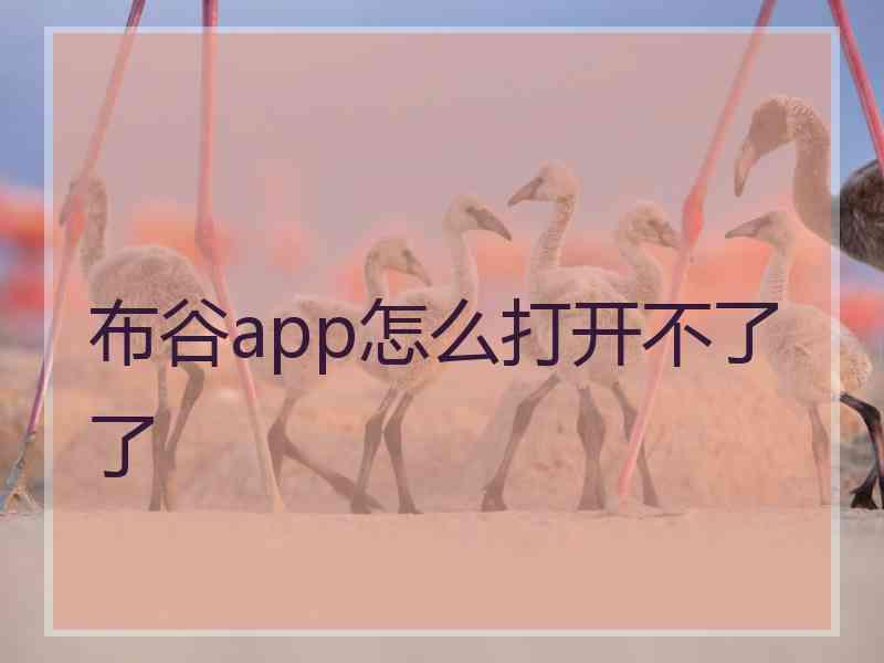 布谷app怎么打开不了了