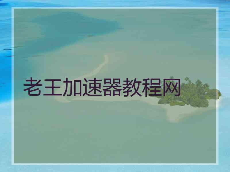 老王加速器教程网