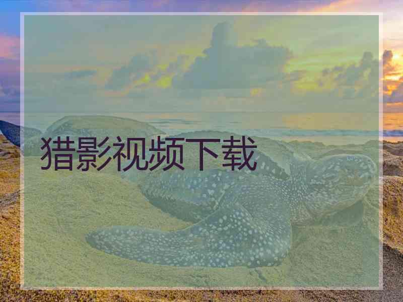 猎影视频下载