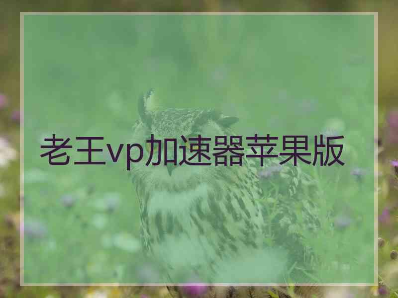 老王vp加速器苹果版