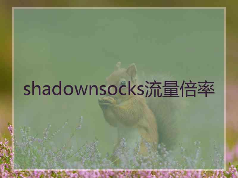 shadownsocks流量倍率