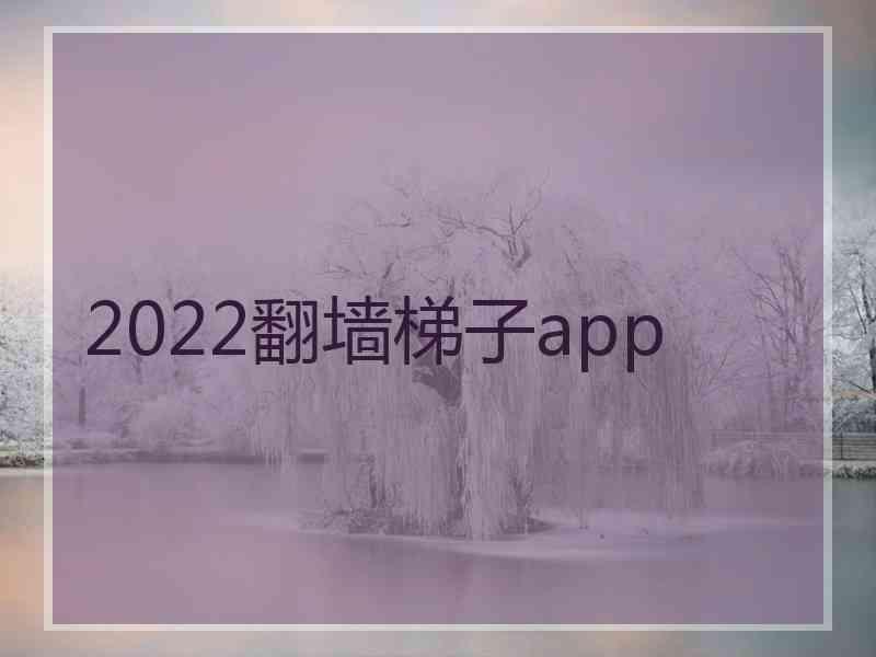 2022翻墙梯子app