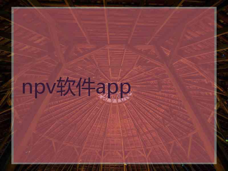 npv软件app