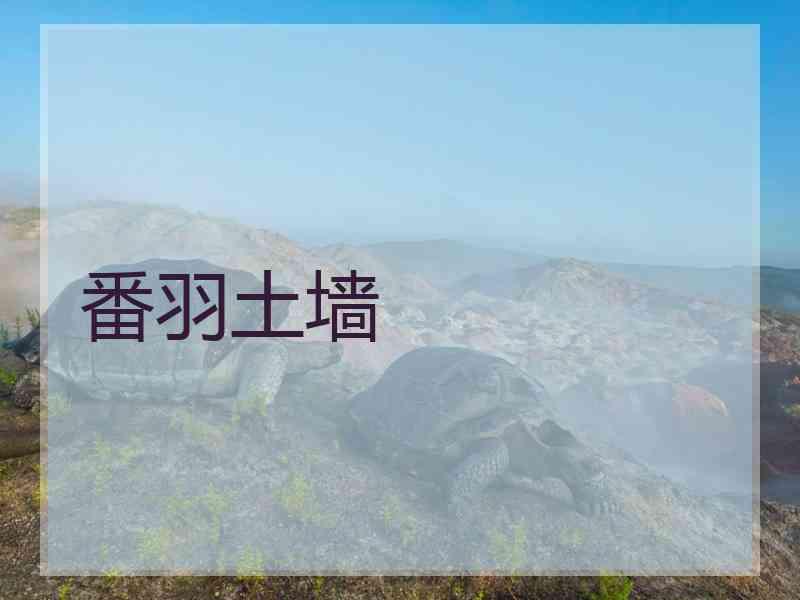 番羽土墙