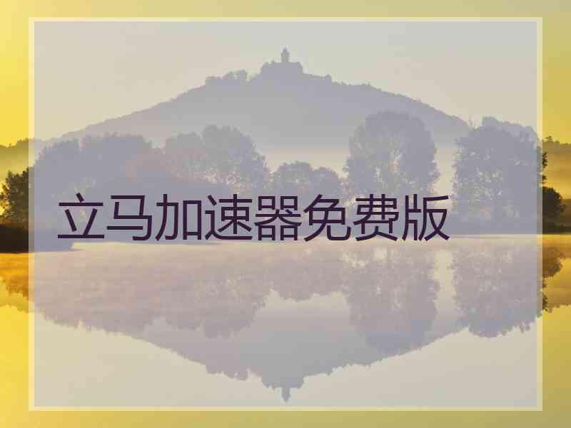 立马加速器免费版