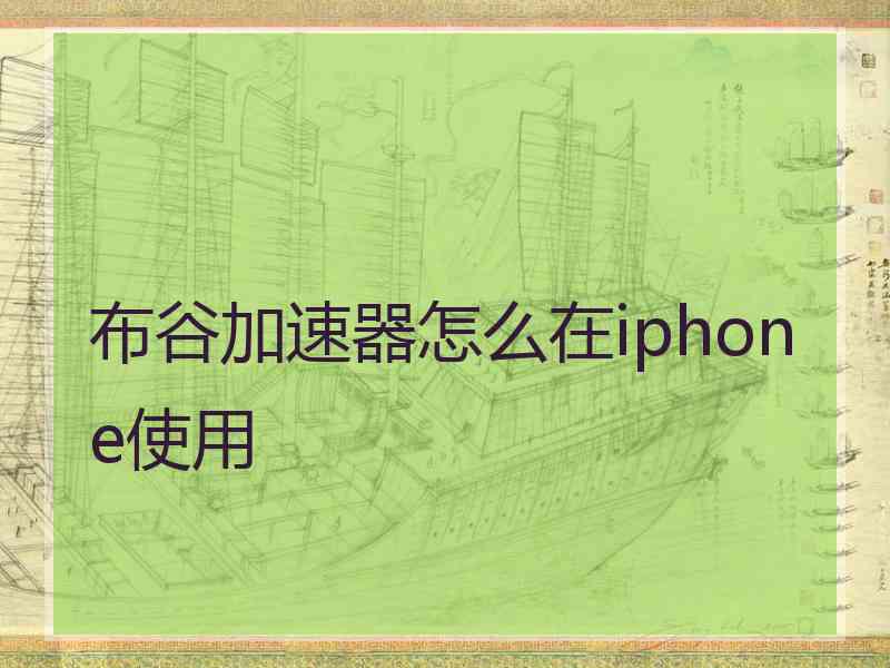 布谷加速器怎么在iphone使用