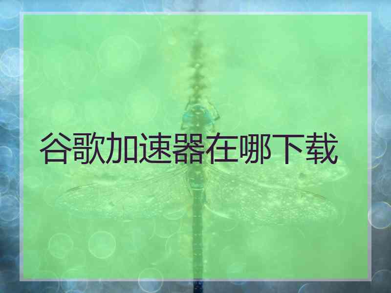 谷歌加速器在哪下载
