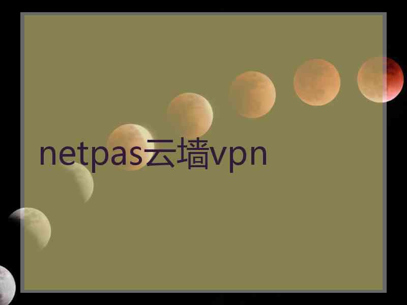 netpas云墙vpn
