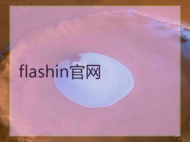 flashin官网
