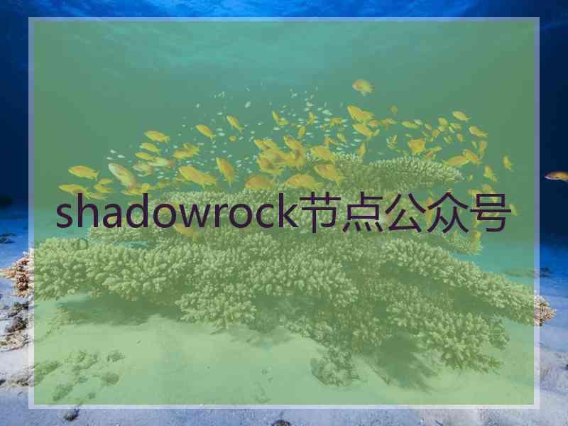 shadowrock节点公众号