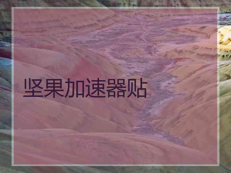 坚果加速器贴