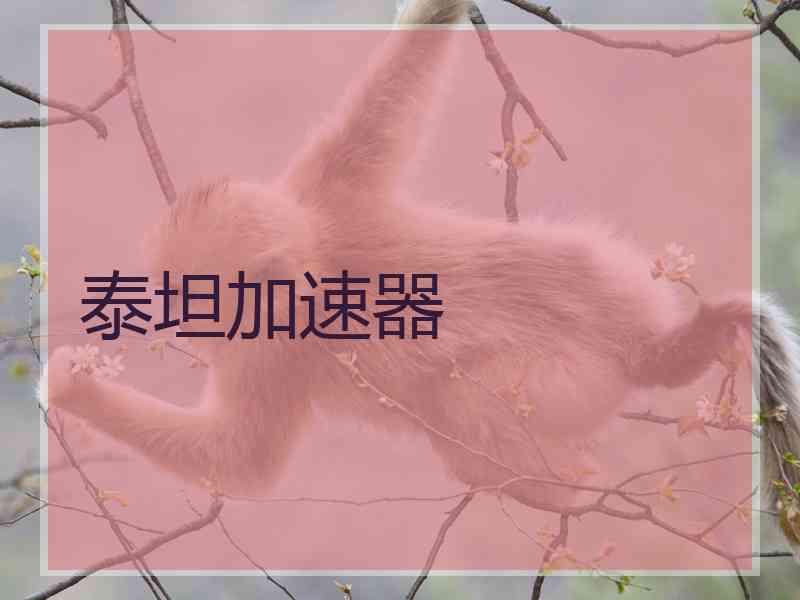 泰坦加速器