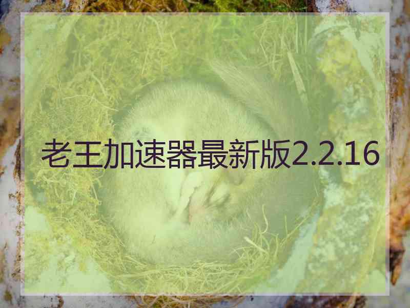 老王加速器最新版2.2.16