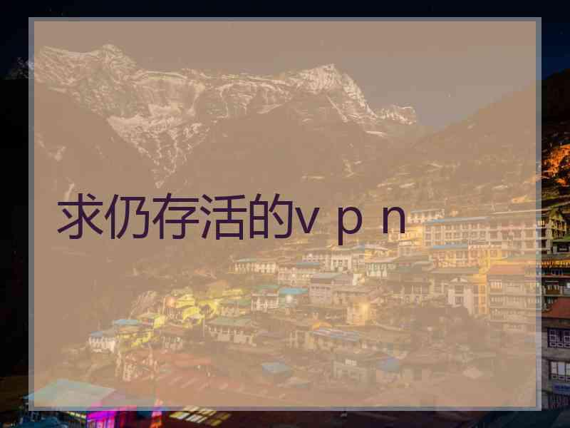求仍存活的v p n