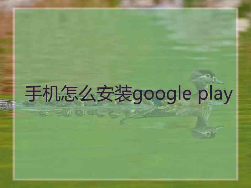 手机怎么安装google play