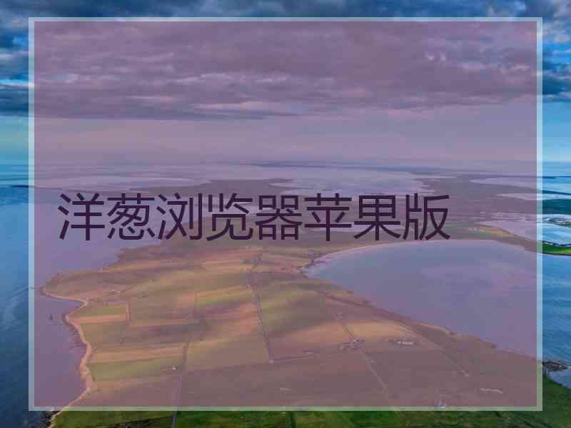 洋葱浏览器苹果版