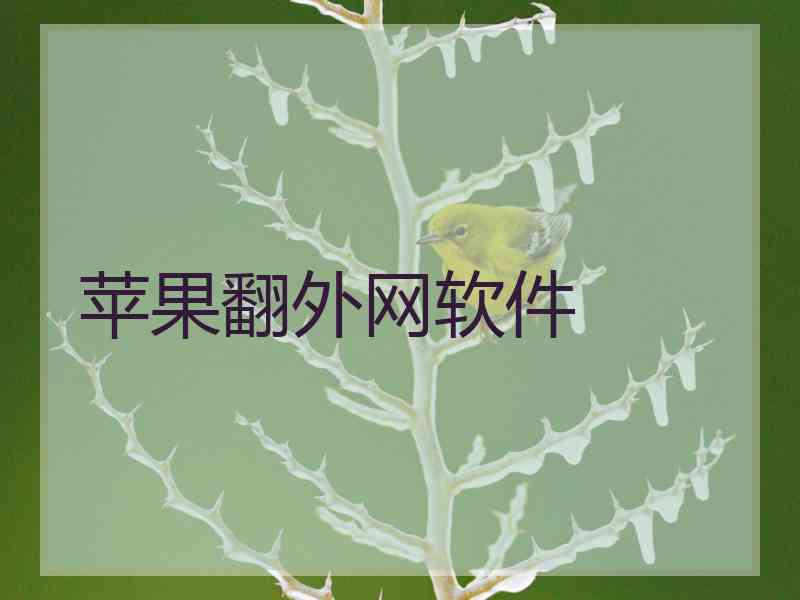 苹果翻外网软件