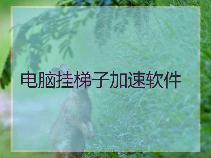 电脑挂梯子加速软件