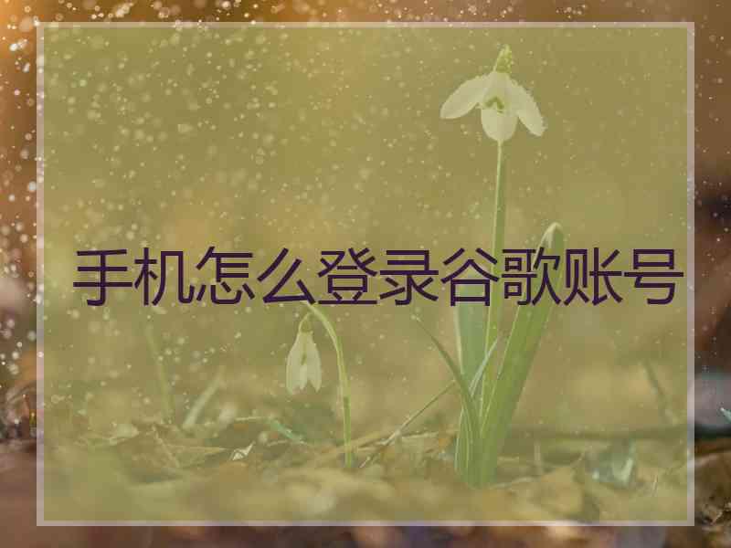 手机怎么登录谷歌账号