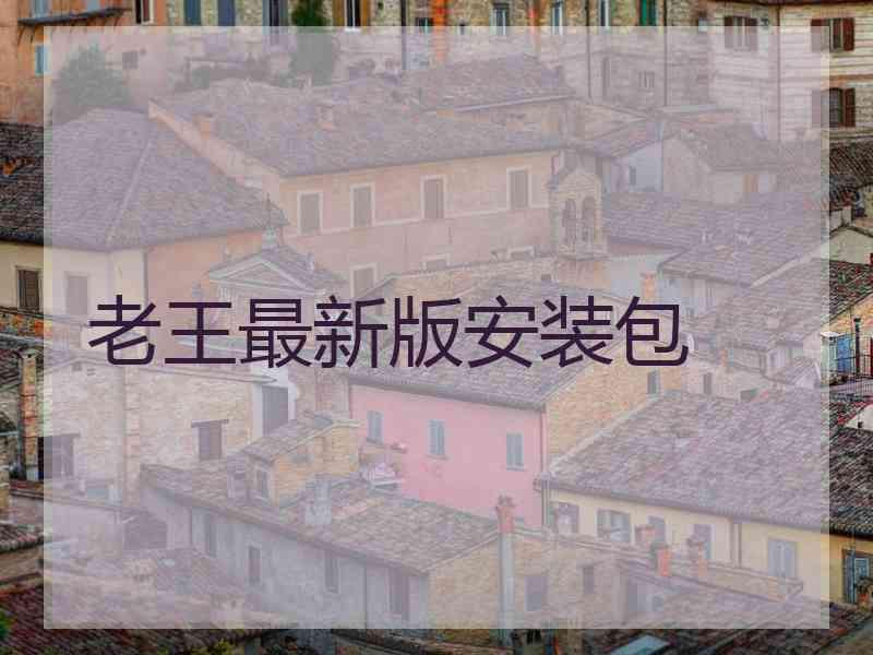 老王最新版安装包