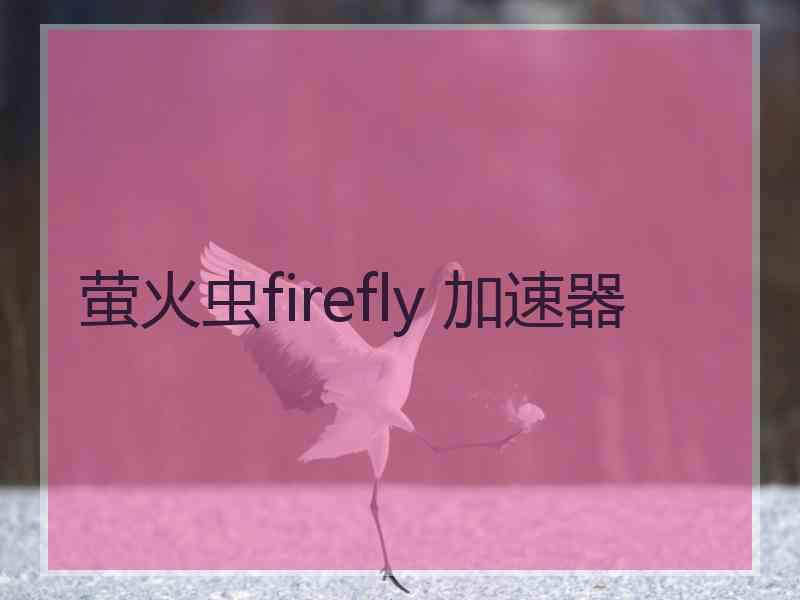 萤火虫firefly 加速器