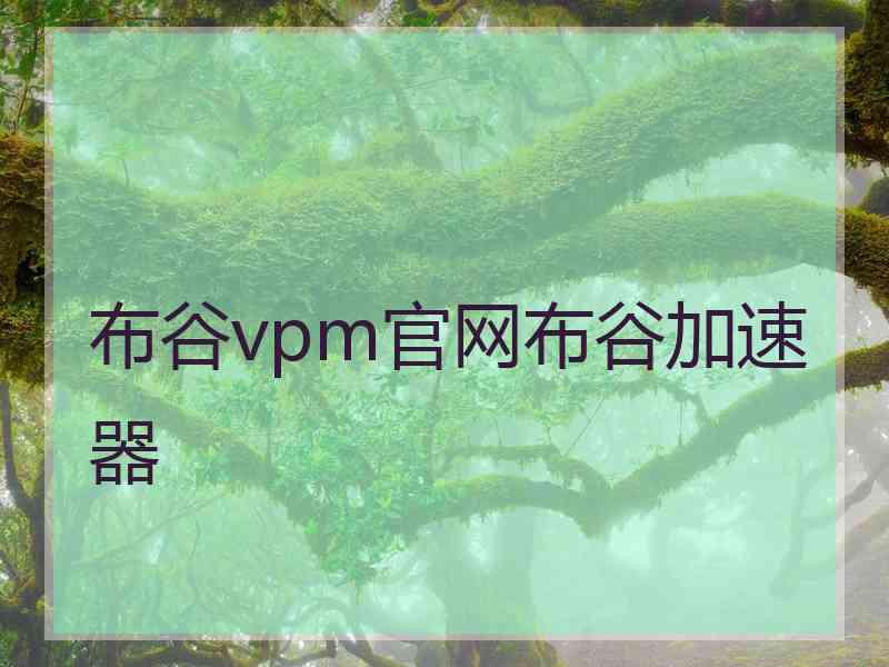 布谷vpm官网布谷加速器