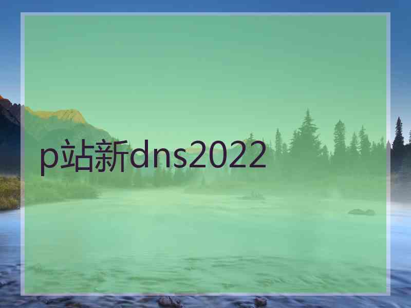 p站新dns2022