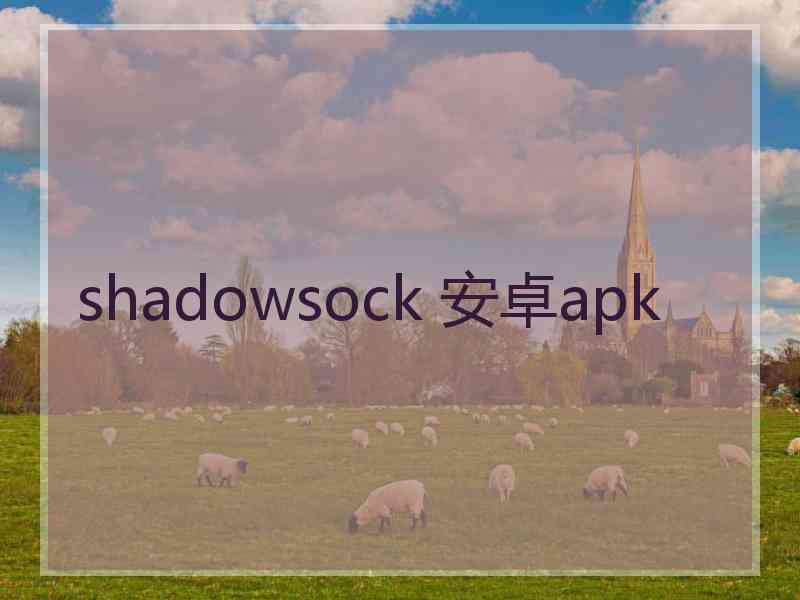 shadowsock 安卓apk