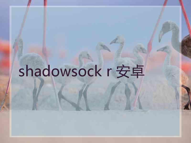 shadowsock r 安卓