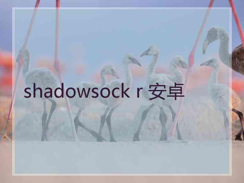 shadowsock r 安卓