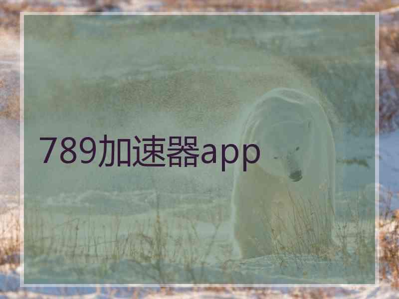 789加速器app