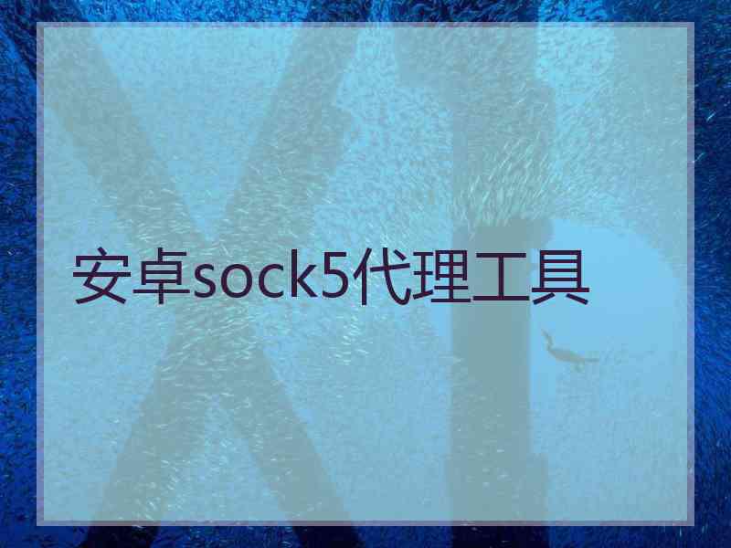 安卓sock5代理工具