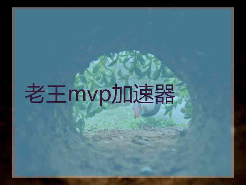 老王mvp加速器