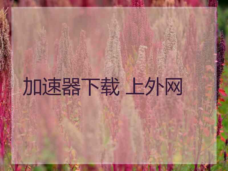 加速器下载 上外网