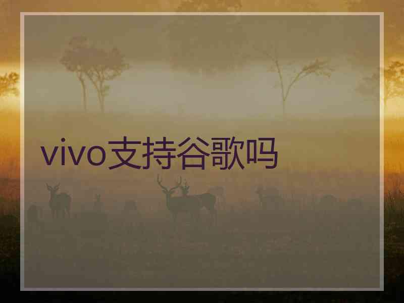 vivo支持谷歌吗